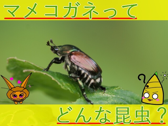 Thumbnail of post image 186